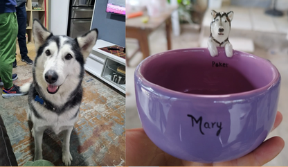 1 Pocillo con 1 Mascota
